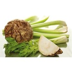 Tohumcumm Kereviz Tohumu (Celery) 50+ Tohum
