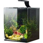 Anubias Shrimp Nano Akvaryum Set Siyah 29X29X35 cm