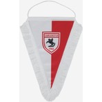 Samsunspor Flama 18X28