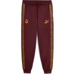 GS Store Galatasaray Puma King Eşofman Alt 78292613