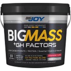 Bigjoy Sports Bigjoy Bigmass Gh Factors 5000 gr Karbonhidrat Tozu