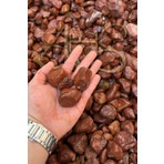 Ahs Kırmızı Bordo Dolomit Çakıl Taşı 4-6 cm 2 kg Dekoratif Bahçe Peyzaj Saksı Akvaryum Teraryum