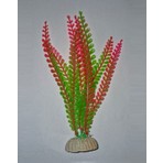 Petistera PB09 Plastik Akvaryum Bitkisi 20 cm