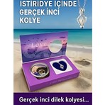 Rkm Store Istiridye Inci Kolye Kadın Şık Zarif Tasarım Paslanmaz Çelik Zincirli Inci Kolye Hediyelik Takı