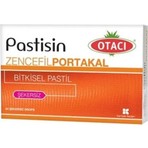 Otacı Pastisin Zencefil Portakal Bitkisel Pastil