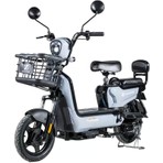Zlin Motor - Şahin 1 Elektrikli Scooter -350 Watt