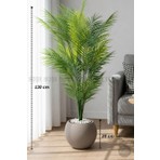 Biçiçek Areka Ağacı 24 Yapraklı 130 cm Küre Saksıda