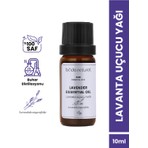 Bade Natural %100 Saf Doğal Lavanta Uçucu Yağı 10 ml Unisex Buhar Distilasyonu ile Yatıştırıcı