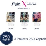 Papia Home Asmalı Havlu 750 Yaprak (3 Paketx250 Yaprak)