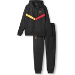 GS Store Galatasaray Erkek Eşofman Takım E252126