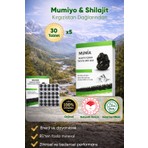 Mumiyo (Shilajit) Saf 30'lu Tablet 5'li Set