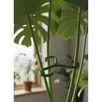 Decor Station Bitki Gövde Destek ve Sabitleme Klipsi | Dikey Büyüme İçin Pratik & BİTKİ TUTUCU(4lüSet)