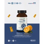 Cerebrovita Cogni Focus 60 Gummy