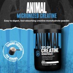 Universal Animal Creatine Monohydrate Monohidrat 500GR - 100 Servis - Usa Menşei Yerli Üretim Değildir