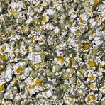 Organic Kiler Papatya Çayı 50 gr