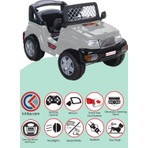 Pilsan Akülü Araba 12 V Panther Kumandalı Gri