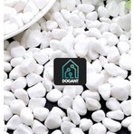 Dogant Beyaz Dolomit Tararyum Fanus Saksı Dere Çakıl Taşı 1 kg