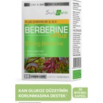 Suda Vitamin Berberis Vulgaris Ekstresi, ALA, Krom Pikolinat İçeren 30 Bitkisel Kapsül Takviye Edici Gıda
