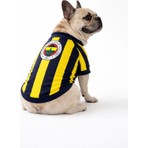 Fenerbahçe Fenerbbahçe Pet Tshırt