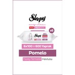 Sleepy Meyve Serisi Yüzey Temizlik Havlusu Mendili Pomelo 6X100 (600 Yaprak)