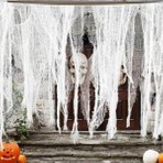 Parti Show Cadılar Bayramı Halloween Krem Renkli Tül 3 Metre