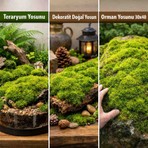 Macc Doğal Orman Yosunu 40X40 cm – Teraryum / Dekor Için Büyük Tek Parça Canlı Yosun