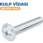 Civata Deposu Cıvata Deposu Kulp Vidası M4X25 100 Adet