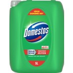 Domestos Yoğun Kıvamlı Çamaşır Suyu Çam Ferahlığı 5000 ml