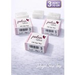 PolenPlus Cilt Şapı 3 Adet 70 Gr Pratik Kullanım İçin Tasarlanmış Şap Taşı