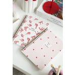 Matt Notebook A5 Spiralli Okul Defteri 80 Yaprak 2'li Set – Çizgili & Kareli