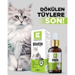 Nanbell Biotin Cat (Kedi) – Nanbell