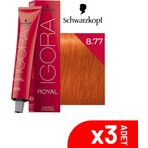 Igora Royal 8-77 Açık Kumral Yoğun Bakır 60ML-3LÜ