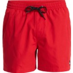 Quiksilver Everyday 15 Erkek Şort EQYJV04120-QK.RZM0