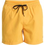 Quiksilver Everyday 15 Erkek Şort EQYJV04120-QK.3091