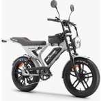 Ape Ryder Mandrıll 1000W Elektrikli Bisiklet Ayna Çanta ve El Gazı Hediyeli