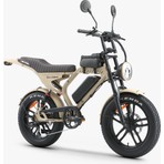 Ape Ryder Mandrıll 1000W Elektrikli Bisiklet Ayna Çanta ve El Gazı Hediyeli