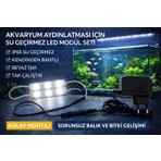 Aquaplant Akvaryum İkili Modül LED Aydınlatması Yüksek Işık Gücü Beyaz Işık Kolay Montaj
