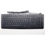 Lenovo SK8823 USB G25 Bk_tr 440 Türkçe F Klavye Kablolu