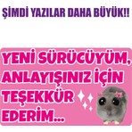 Sticker Usta Acemi Sürücü Yeni Sürücü Sticker 22X13 Su Geçirmez Sticker Araba Etiket Sticker