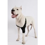 Petsuit Köpek Sol Dirsek Ateli