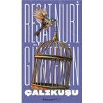 İnkılap Kitabevi Çalıkuşu Reşat - Nuri Güntekin  (Son Basım 2025, Yeni Kapak-Tam Metin)