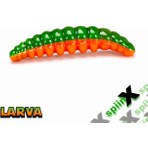 Spiinx Spıınx Larva 35MM 14P Peynir Cıtrus 54