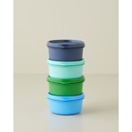 English Home Aline 280 ml Plastik Saklama Kabı 4'lü Yeşil-Mavi Renkli Sızdırmaz Tasarım
