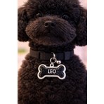 Spring Handmade Kişiye Özel Isimli Kedi/köpek Künyesi-Isim Ve Telefon Yazılır.