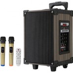 Glr LT-910 20W Güç Özellikleri ile Kablosuz Hoparlör ve 2 Mikrofonlu Ses Sistemi