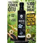 Panlife Çörek Otu Yağı 500 ml | Soğuk Sıkım | %100 Saf ve Doğal | Nigella Sativa | Yerli Tohum