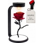 Yıldızhan Store Minimalist Solmayan Kadife Gül, Dekoratif Çeyizlik Gece Lambası, Anneler Günü, Sevgili,eş Hediyelikleri (Kırmızı Gül)