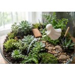 Msv Studio 3d Msv Studio Hayalet Tasarımlı Saksı Sulama Figürü Beyaz Plastik Mini Bahçe Dekoru