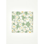 Bella Maison Daisy 20'li Yeşil Kağıt Peçete 33x33 Cm Düz Tasarım ile Sofra ve Parti Kullanımına Uygun