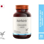 Barbaris Ceramide + SOD- 30 Kapsül - 40 mg Seramid İçeren Takviye Edici Gıda, (Japonya Patentli Pirinç Seramidi)